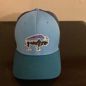 Patagonia Trucker Hat